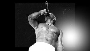 Image of SHOW ME FEST PT.2